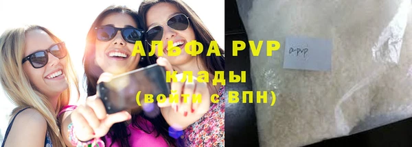 прущие грибы Новокубанск