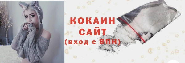 прущие грибы Новокубанск