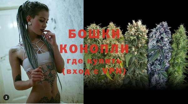 прущие грибы Новокубанск