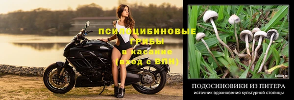 МДМА Новодвинск