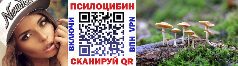 что такое наркотик  kraken ССЫЛКА  Галлюциногенные грибы Psilocybe  Малая Вишера 