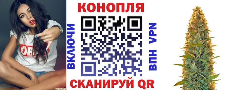где продают   Малая Вишера  Бошки марихуана THC 21% 